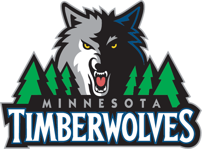 Minnesota Timberwolves 2008-2016 Primary Logo iron on transfers for fabric
